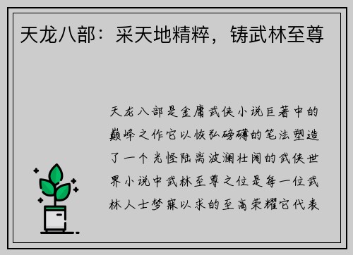 天龙八部：采天地精粹，铸武林至尊